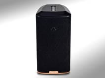 Klipsch RW-1 Klipsch RW-1